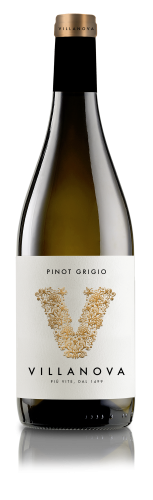 Collio_PG