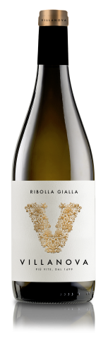 Collio_Rib