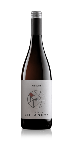 Merlot 25 OK_LINEA ISONZO