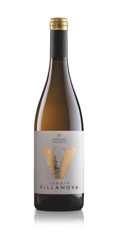 TV_DOC COLLIO_Friulano-sm