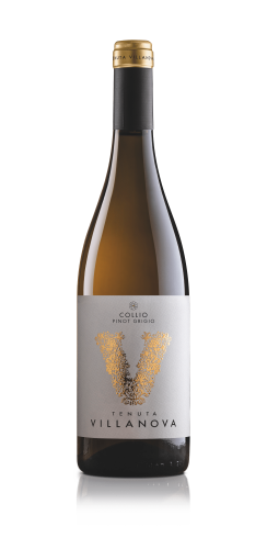 TV_DOC COLLIO_Pinot Grigio-sm