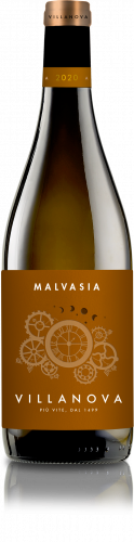 Top_malvasia